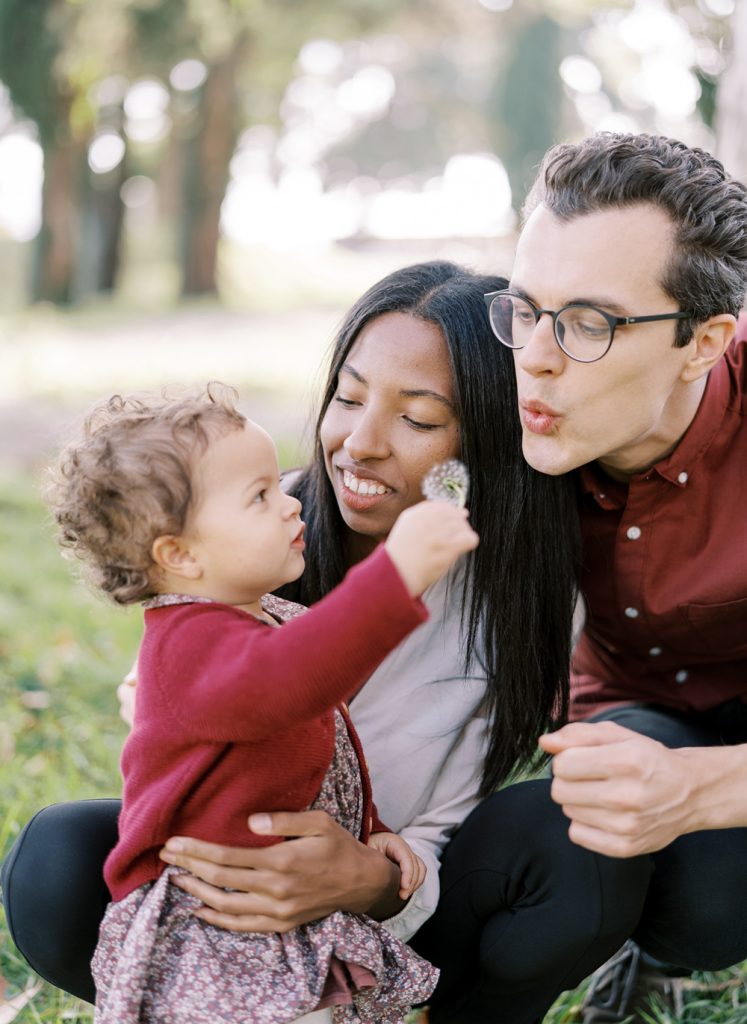 family dandelion