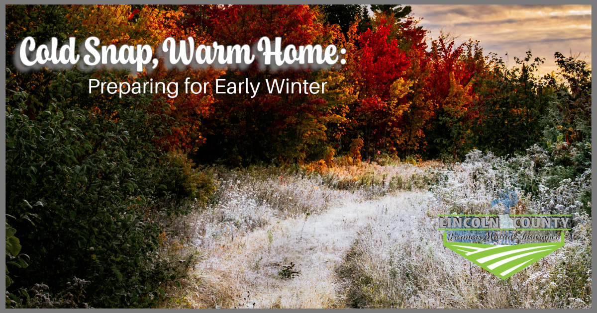 Read more about the article Cold Snap, Warm Home: Preparing Your Missouri Property for Early Winter